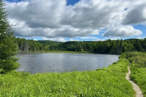 Invesco_HabitationALFRED KELLY