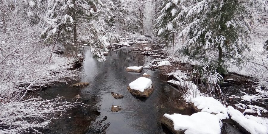 MorinHeights_derek_wills_vik_bridge_2